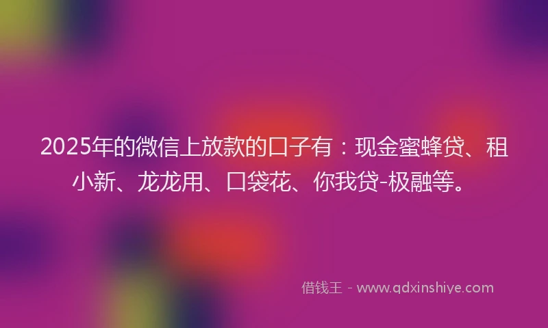 2025年的微信上放款的口子有：现金蜜蜂贷、租小新、龙龙用、口袋花、你我贷-极融等。