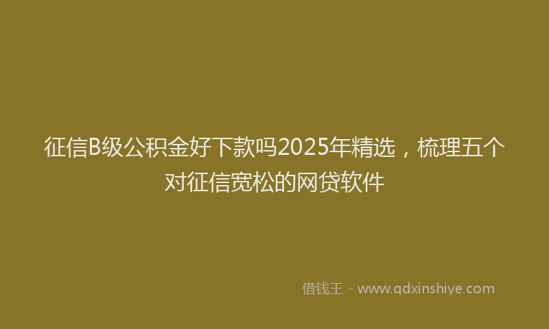 征信B级公积金好下款吗2025年精选，梳理五个对征信宽松的网贷软件