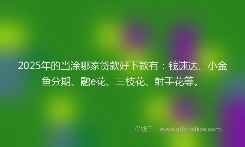 2025年的当涂哪家贷款好下款有：钱速达、小金鱼分期、融e花、三枝花、射手花等。