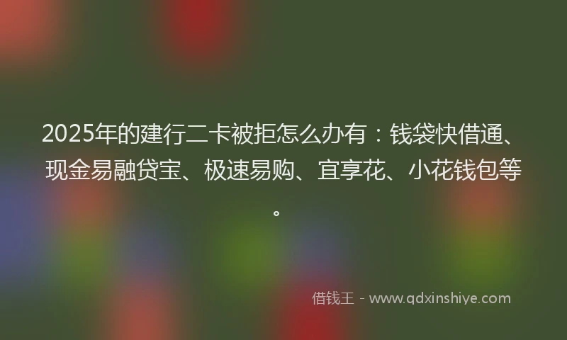 2025年的建行二卡被拒怎么办有：钱袋快借通、现金易融贷宝、极速易购、宜享花、小花钱包等。