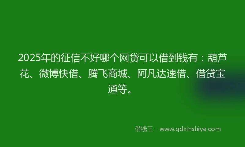 2025年的征信不好哪个网贷可以借到钱有：葫芦花、微博快借、腾飞商城、阿凡达速借、借贷宝通等。