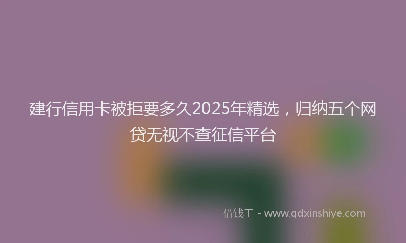建行信用卡被拒要多久2025年精选，归纳五个网贷无视不查征信平台