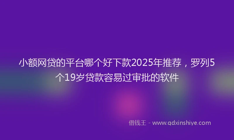 小额网贷的平台哪个好下款2025年推荐，罗列5个19岁贷款容易过审批的软件