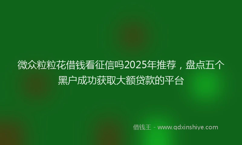 微众粒粒花借钱看征信吗2025年推荐，盘点五个黑户成功获取大额贷款的平台