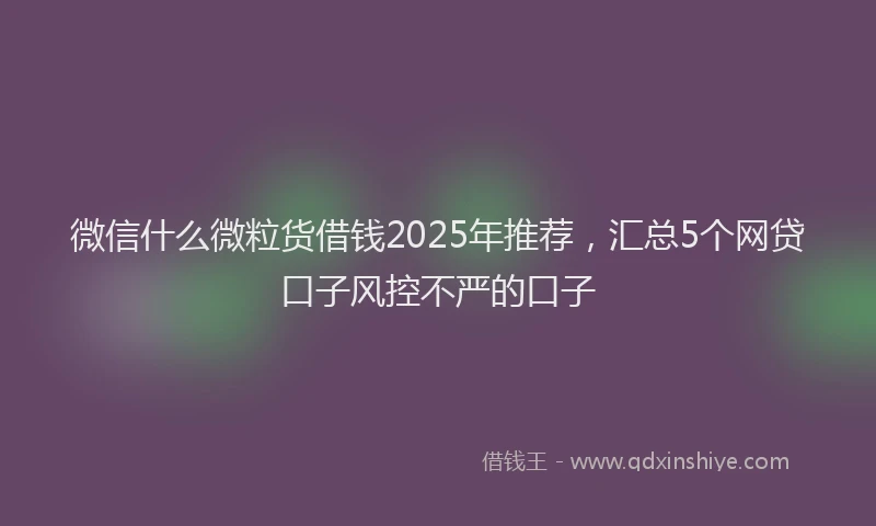 微信什么微粒货借钱2025年推荐，汇总5个网贷口子风控不严的口子