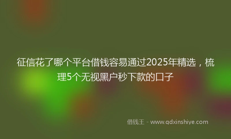 征信花了哪个平台借钱容易通过2025年精选，梳理5个无视黑户秒下款的口子