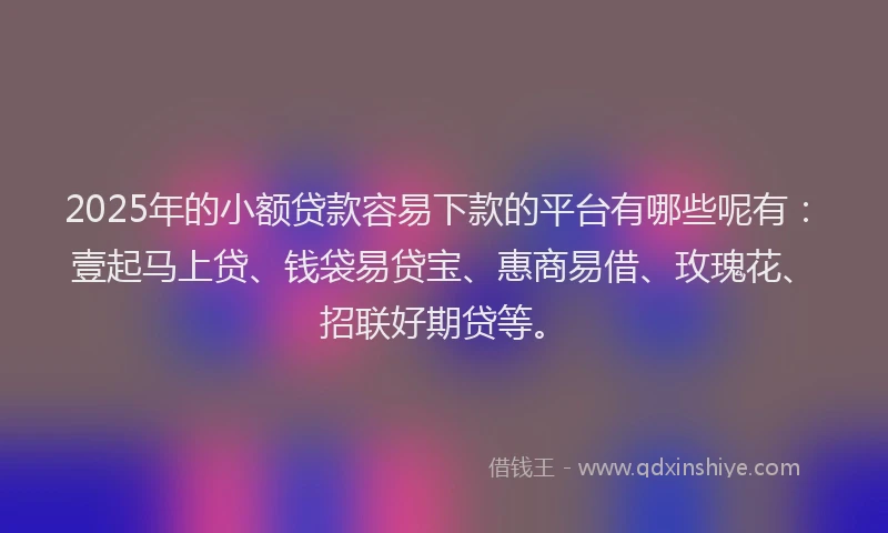 2025年的小额贷款容易下款的平台有哪些呢有：壹起马上贷、钱袋易贷宝、惠商易借、玫瑰花、招联好期贷等。