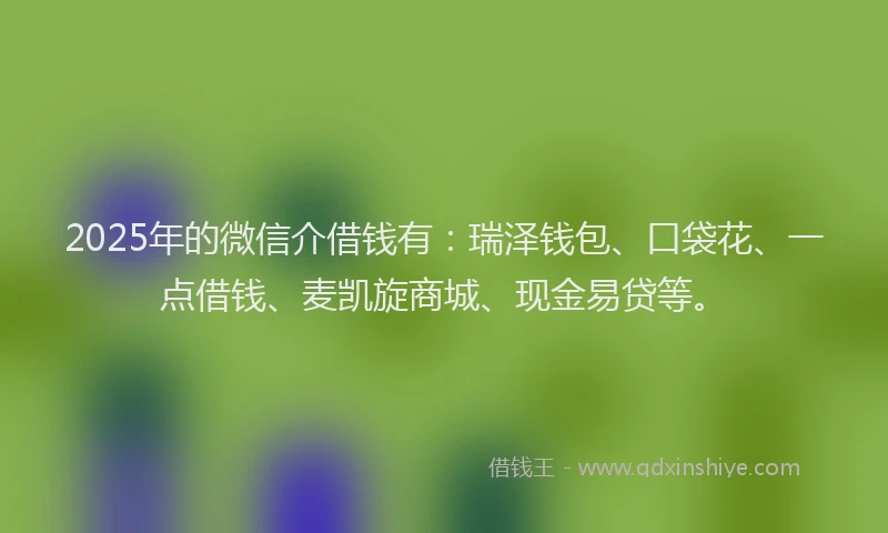 2025年的微信介借钱有：瑞泽钱包、口袋花、一点借钱、麦凯旋商城、现金易贷等。