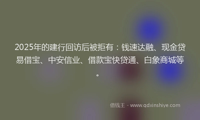 2025年的建行回访后被拒有：钱速达融、现金贷易借宝、中安信业、借款宝快贷通、白象商城等。