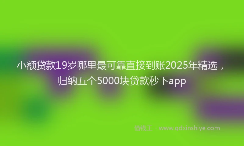 小额贷款19岁哪里最可靠直接到账2025年精选，归纳五个5000块贷款秒下app