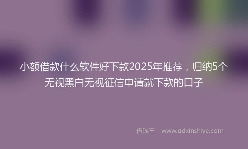 小额借款什么软件好下款2025年推荐，归纳5个无视黑白无视征信申请就下款的口子