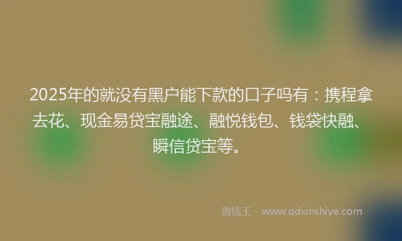 2025年的就没有黑户能下款的口子吗有：携程拿去花、现金易贷宝融途、融悦钱包、钱袋快融、瞬信贷宝等。