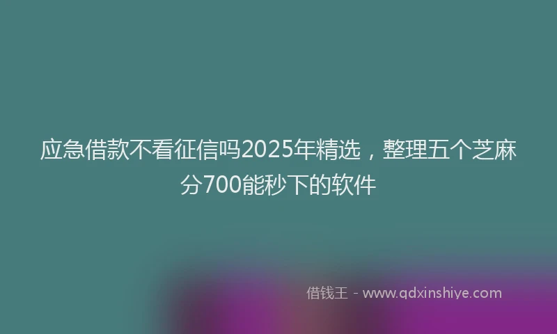 应急借款不看征信吗2025年精选，整理五个芝麻分700能秒下的软件