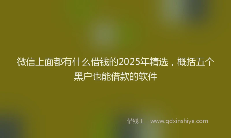 微信上面都有什么借钱的2025年精选，概括五个黑户也能借款的软件