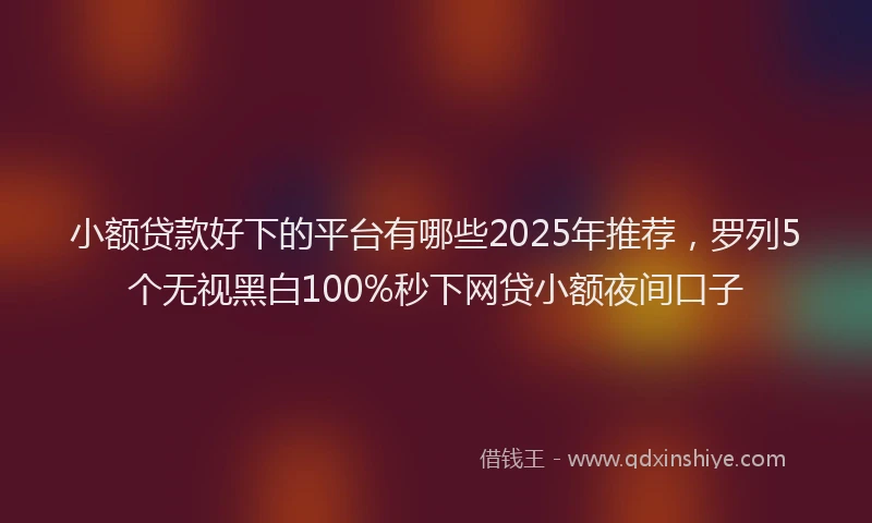小额贷款好下的平台有哪些2025年推荐，罗列5个无视黑白100%秒下网贷小额夜间口子