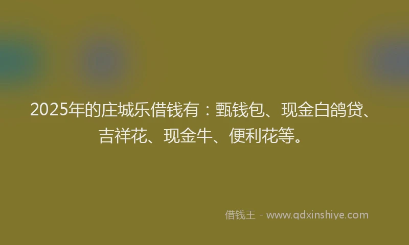 2025年的庄城乐借钱有：甄钱包、现金白鸽贷、吉祥花、现金牛、便利花等。