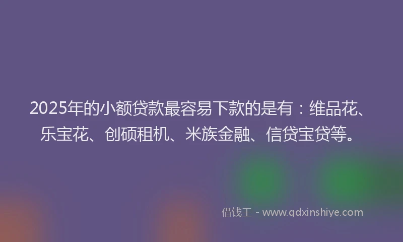 2025年的小额贷款最容易下款的是有：维品花、乐宝花、创硕租机、米族金融、信贷宝贷等。