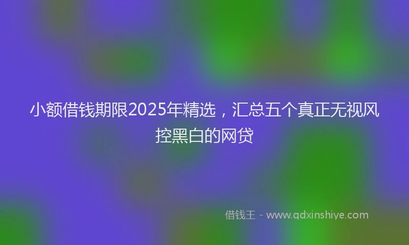 小额借钱期限2025年精选，汇总五个真正无视风控黑白的网贷