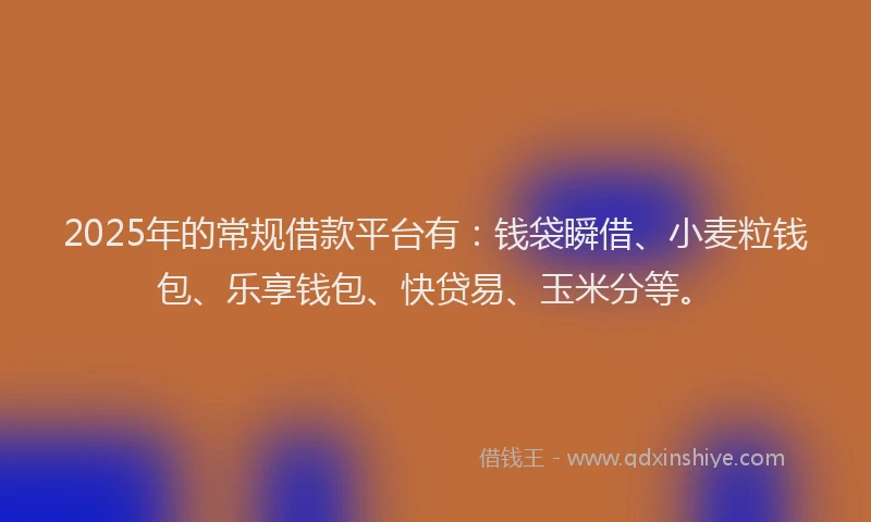 2025年的常规借款平台有：钱袋瞬借、小麦粒钱包、乐享钱包、快贷易、玉米分等。