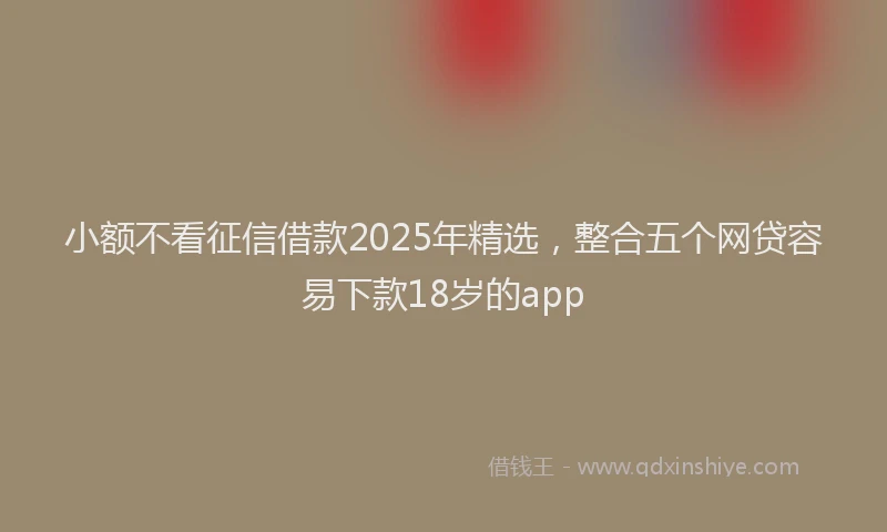 小额不看征信借款2025年精选，整合五个网贷容易下款18岁的app