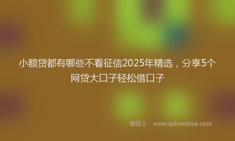 小额贷都有哪些不看征信2025年精选，分享5个网贷大口子轻松借口子