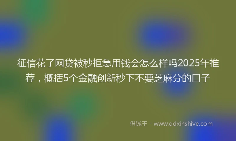 征信花了网贷被秒拒急用钱会怎么样吗2025年推荐，概括5个金融创新秒下不要芝麻分的口子