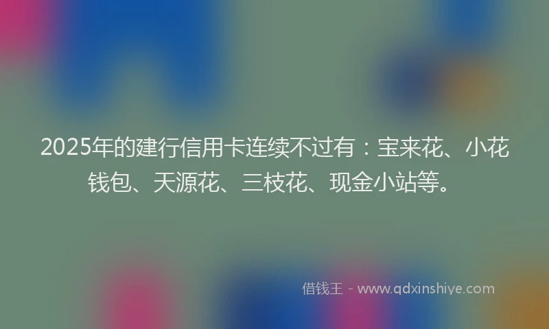 2025年的建行信用卡连续不过有：宝来花、小花钱包、天源花、三枝花、现金小站等。
