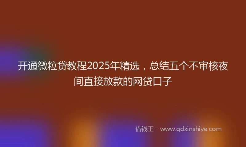 开通微粒贷教程2025年精选，总结五个不审核夜间直接放款的网贷口子