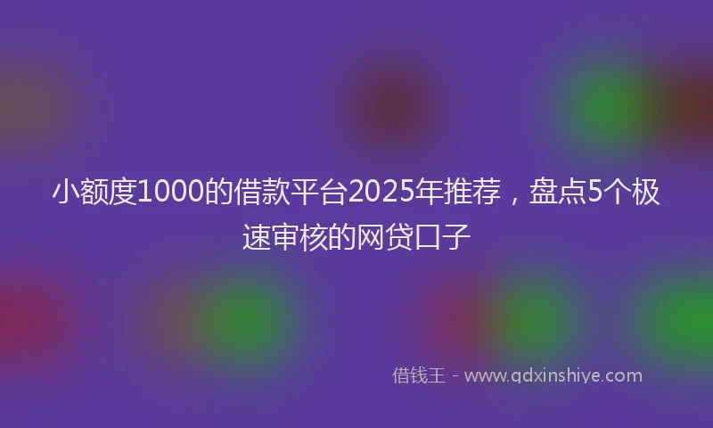 小额度1000的借款平台2025年推荐，盘点5个极速审核的网贷口子