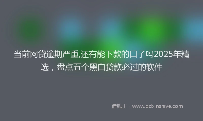 当前网贷逾期严重,还有能下款的口子吗2025年精选，盘点五个黑白贷款必过的软件