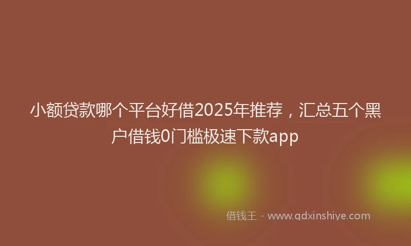 小额贷款哪个平台好借2025年推荐，汇总五个黑户借钱0门槛极速下款app