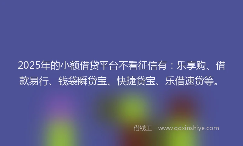 2025年的小额借贷平台不看征信有：乐享购、借款易行、钱袋瞬贷宝、快捷贷宝、乐借速贷等。