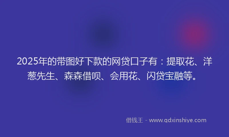 2025年的带图好下款的网贷口子有：提取花、洋葱先生、森森借呗、会用花、闪贷宝融等。