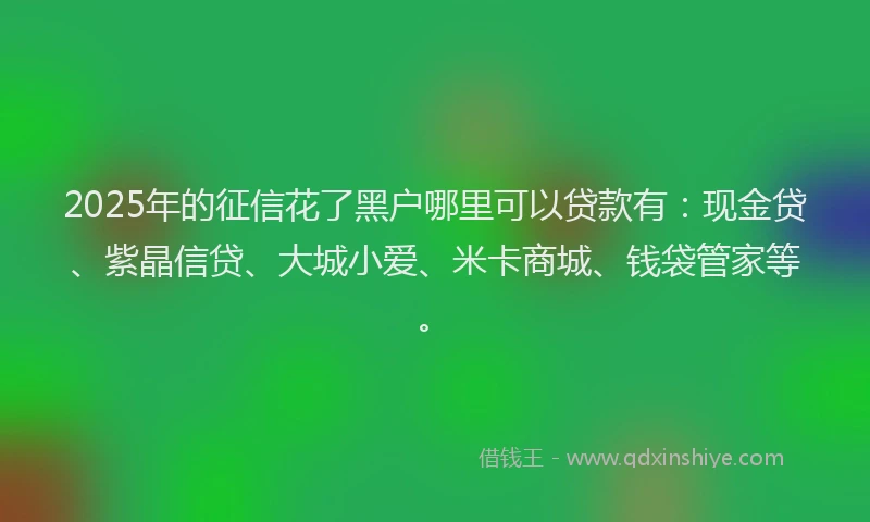2025年的征信花了黑户哪里可以贷款有：现金贷、紫晶信贷、大城小爱、米卡商城、钱袋管家等。