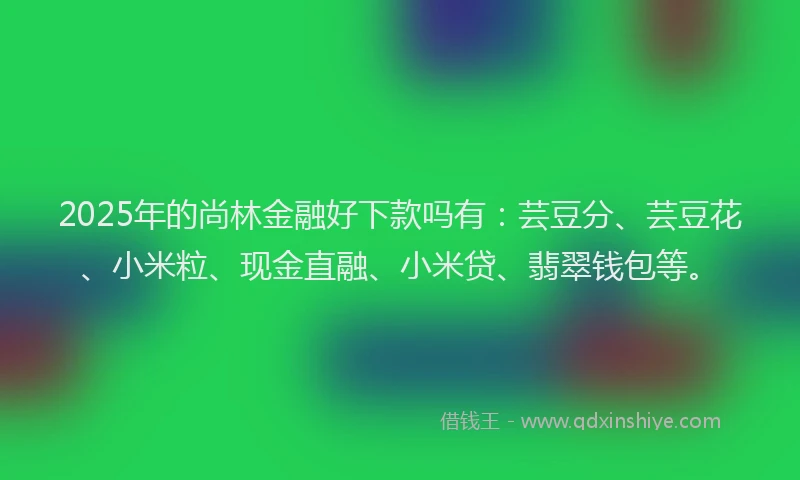 2025年的尚林金融好下款吗有：芸豆分、芸豆花、小米粒、现金直融、小米贷、翡翠钱包等。