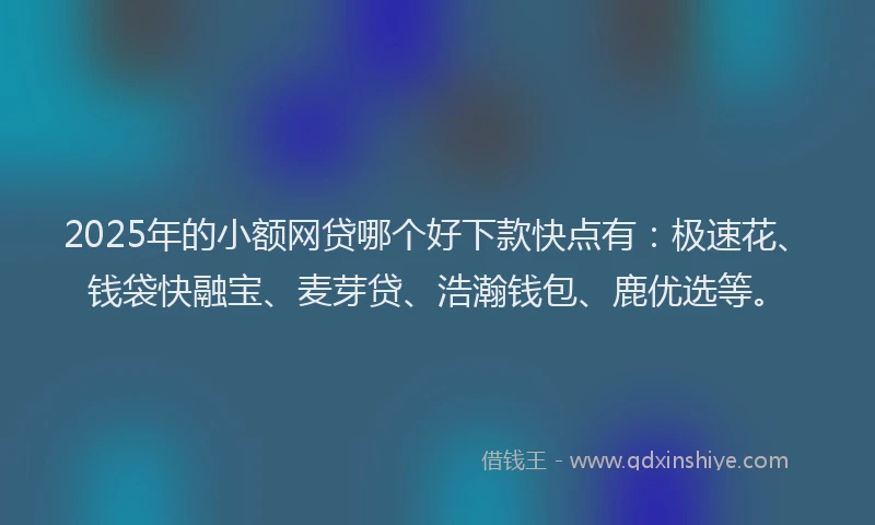 2025年的小额网贷哪个好下款快点有：极速花、钱袋快融宝、麦芽贷、浩瀚钱包、鹿优选等。
