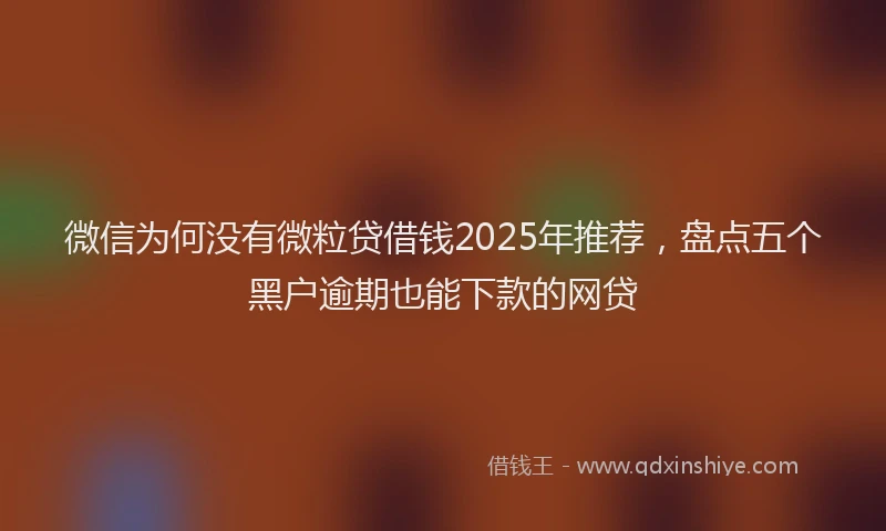 微信为何没有微粒贷借钱2025年推荐，盘点五个黑户逾期也能下款的网贷