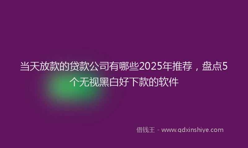 当天放款的贷款公司有哪些2025年推荐，盘点5个无视黑白好下款的软件
