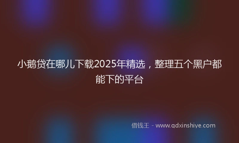 小鹅贷在哪儿下载2025年精选，整理五个黑户都能下的平台