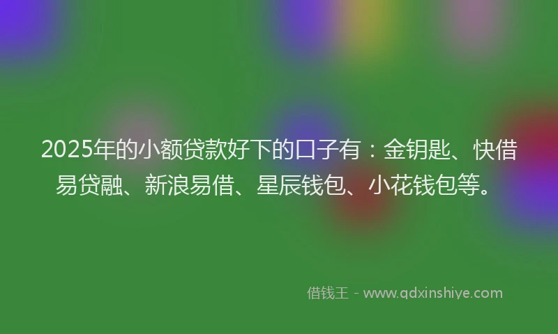 2025年的小额贷款好下的口子有：金钥匙、快借易贷融、新浪易借、星辰钱包、小花钱包等。