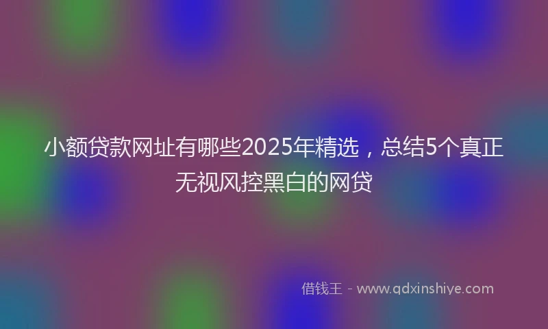 小额贷款网址有哪些2025年精选，总结5个真正无视风控黑白的网贷