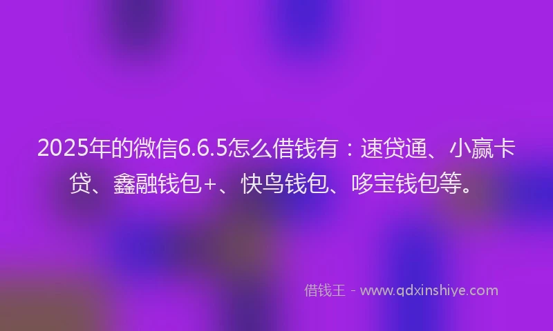 2025年的微信6.6.5怎么借钱有：速贷通、小赢卡贷、鑫融钱包+、快鸟钱包、哆宝钱包等。