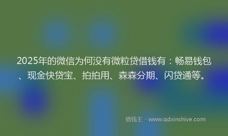 2025年的微信为何没有微粒贷借钱有：畅易钱包、现金快贷宝、拍拍用、森森分期、闪贷通等。