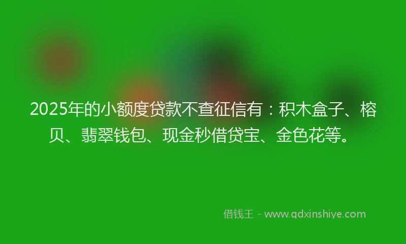 2025年的小额度贷款不查征信有：积木盒子、榕贝、翡翠钱包、现金秒借贷宝、金色花等。