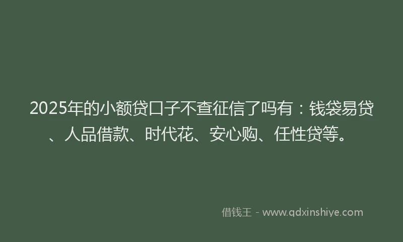 2025年的小额贷口子不查征信了吗有：钱袋易贷、人品借款、时代花、安心购、任性贷等。