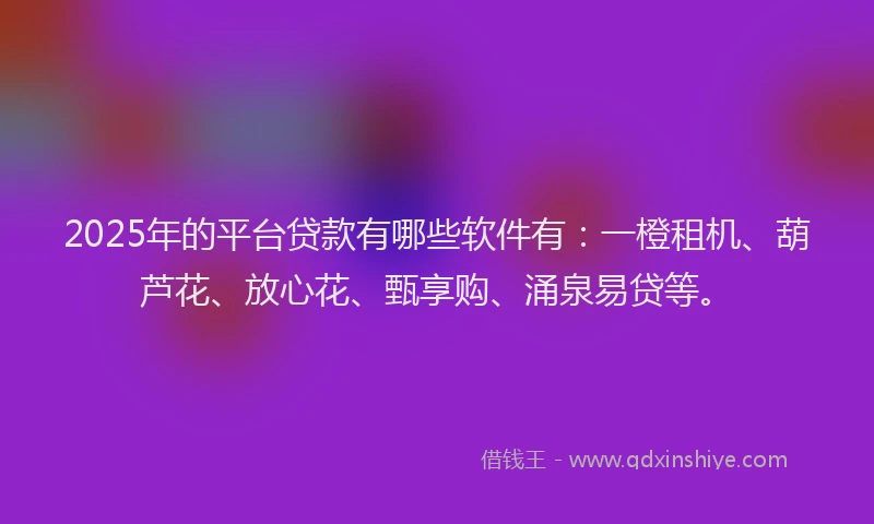 2025年的平台贷款有哪些软件有：一橙租机、葫芦花、放心花、甄享购、涌泉易贷等。