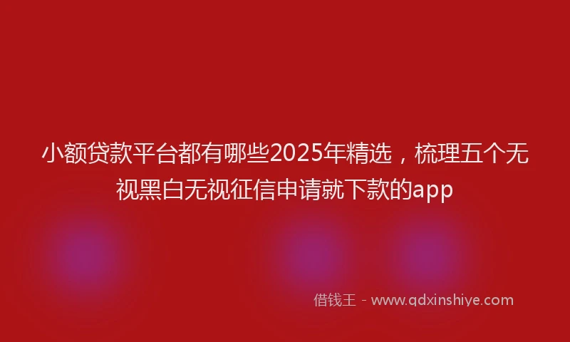 小额贷款平台都有哪些2025年精选，梳理五个无视黑白无视征信申请就下款的app