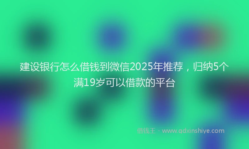 建设银行怎么借钱到微信2025年推荐，归纳5个满19岁可以借款的平台
