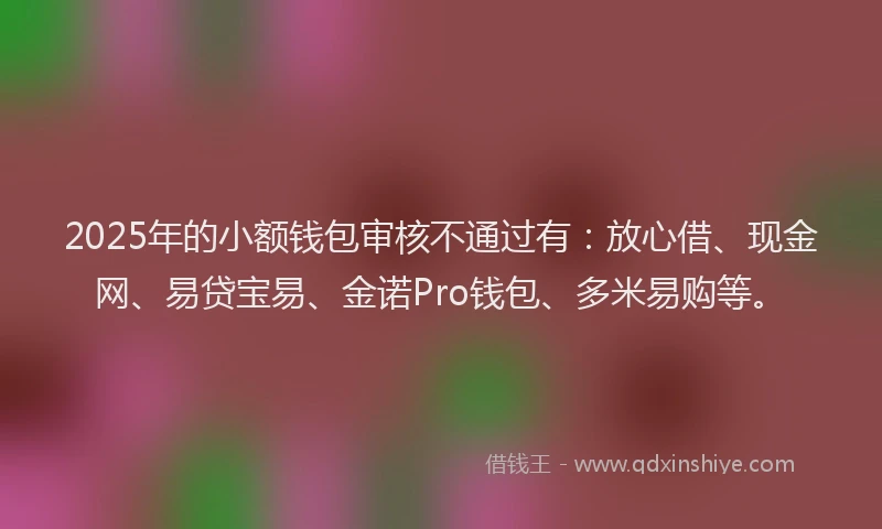 2025年的小额钱包审核不通过有：放心借、现金网、易贷宝易、金诺Pro钱包、多米易购等。