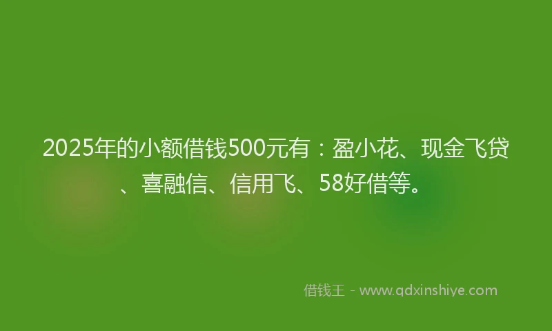 2025年的小额借钱500元有：盈小花、现金飞贷、喜融信、信用飞、58好借等。